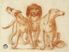 Three Dogs, n.d., Unknown Artist, Dutch, 18th century, Italy, Red chalk with stumping over graphite