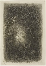 Clearing in the Forest, 1880, Rodolphe Bresdin, French, 1825-1885, France, Etching on cream laid