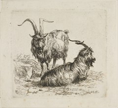 Goats, from Various Animals, 17th century, Nicolaes Berchem the Elder, Dutch, 1621/22-1683,