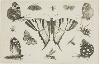 Swallow-Tailed Butterfly and Twelve Other Insects, after 1644, Wenceslaus Hollar, Czech, 1607-1677,