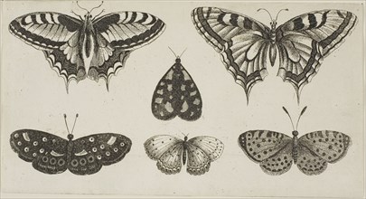 Five Butterflies and a Moth, after 1644, Wenceslaus Hollar, Czech, 1607-1677, Bohemia, Etching on
