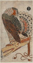 Sparrowhawk (Konori taka), c. 1716, Torii Kiyomasu I, Japanese, active c. 1704–18 (?), Japan,