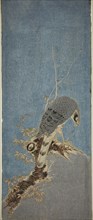 Falcon Perched on a Tree, c. 1785, Attributed to Isoda Koryusai, Japanese, 1735-1790, Japan,