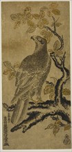 A Hawk on a Kiri Tree, c. 1720/25, Okumura Masanobu, Japanese, 1686-1764, Japan, Hand-colored
