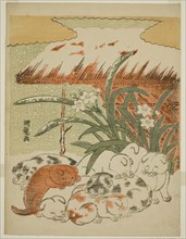 Puppies in the Snow, c. 1773, Isoda Koryusai, Japanese, 1735-1790, Japan, Color woodblock print,