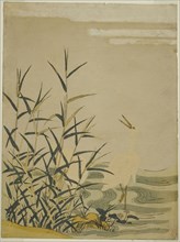 Egrets in the Reeds, c. 1774, Attributed to Isoda Koryusai, Japanese, 1735-1790, Japan, Color