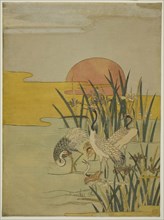 Cranes in an Iris Pond at Sunrise, c. 1774, Attributed to Isoda Koryusai, Japanese, 1735-1790,