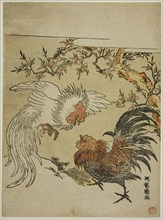 Cocks Fighting Under a Tree, c. 1770s, Isoda Koryusai, Japanese, 1735-1790, Japan, Color woodblock