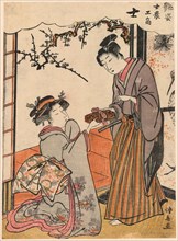 The Samurai (Shi) from the series Beauties Illustrating the Four Social Classes (Adesugata shi no