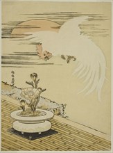 Cock Flying Over Pot of Adonis, c. 1770s, Isoda Koryusai, Japanese, 1735-1790, Japan, Color