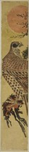 Falcon at Sunrise, c. 1775, Attributed to Isoda Koryusai, Japanese, 1735–1790, Japan, Color