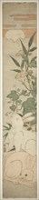 Morning-Glories, Rabbits, and Moon, c. 1780, Isoda Koryusai, Japanese, 1735-1790, Japan, Color