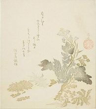 A Giant Radish (daikon), Chrysanthemums and Ferns, About 1820, Ryuryukyo Shinsai, Japanese, active