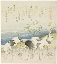Cranes by the Shore, illustration for The Leg Shell (Ashigai), from the series A Matching Game with