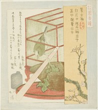 Warbler in a cage, from the series A Series for the Hanazono Group (Hanazono bantsuzuki), 1823,