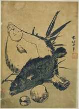Flatfish, scorpion fish, and shells, from an untitled series of chuban prints, c. 1831, Katsushika