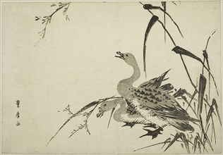 Wild Geese and Reeds, c. 1810, Utagawa Toyohiro, Japanese, 1773-1828, Japan, Woodblock print, oban,