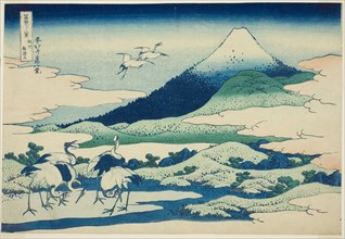 Umezawa Marsh in Sagami Province (Soshu Umezawa hidari), from the series Thirty-six Views of Mount