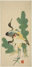 Pine and cranes, c. 1830/44, Katsushika Taito II, Japanese, active c, 1810–53, Japan, Color