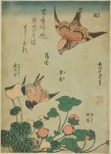 Bull-headed Shrike and Bluebird with Saxifrage and Wild Strawberry (Mozu, ruri, yukinoshita,