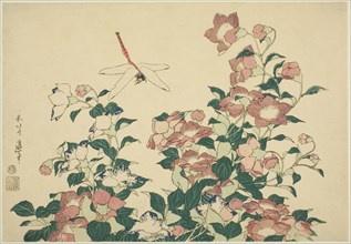 Bell-Flower and Dragonfly, from an untitled series of large flowers, c. 1833/34, Katsushika Hokusai