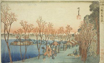 Shinobazu Pond at Ueno (Ueno Shinobazu no ike), from the series Famous Places in Edo (Koto meisho),