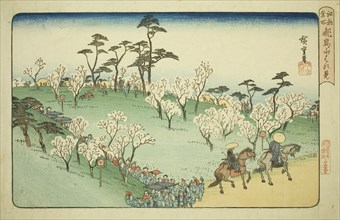 Viewing Cherry Blossoms at Asuka Hill (Asukayama hanami), from the series Famous Places in Edo