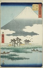 Yoshiwara: Fuji Marsh and Ukishima Plain (Yoshiwara, Fuji no numa ukishima ga hara), no. 15 from