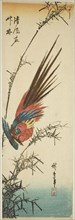 Copper pheasant and bamboo, 1840s, Utagawa Hiroshige ?? ??, Japanese, 1797-1858, Japan, Color
