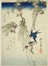 Swallow, yellow bird, and wisteria, 1830s–1840s, Utagawa Hiroshige ?? ??, Japanese, 1797-1858,