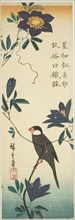 Java sparrow and clematis, 1830s, Utagawa Hiroshige ?? ??, Japanese, 1797-1858, Japan, Color