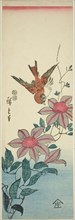 Sparrow and clematis, c. 1847/52, Utagawa Hiroshige ?? ??, Japanese, 1797-1858, Japan, Color