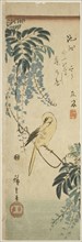 Canary and wisteria, c. 1843/47, Utagawa Hiroshige ?? ??, Japanese, 1797-1858, Japan, Color