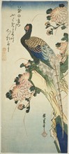 Pheasant and chrysanthemums, 1830s, Utagawa Hiroshige ?? ??, Japanese, 1797-1858, Japan, Color