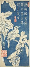 Loquat and bird, early 1830s, Utagawa Hiroshige ?? ??, Japanese, 1797-1858, Japan, Color woodblock