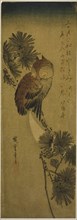 Small-horned owl, pine, and crescent moon, 1830s, Utagawa Hiroshige ?? ??, Japanese, 1797-1858,