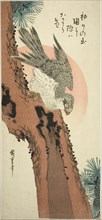 Falcon on a Pine Tree with the Rising Sun, c. 1835, Utagawa Hiroshige ?? ??, Japanese, 1797-1858,