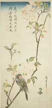 Bullfinch on aronia branch, 1830s, Utagawa Hiroshige ?? ??, Japanese, 1797-1858, Japan, Color