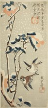 Sparrows and Camellia in Snow, c. 1831/33, Utagawa Hiroshige ?? ??, Japanese, 1797–1858, Publisher: