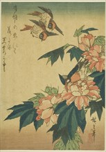 Swallows, kingfisher, and hibiscus, c. 1830s, Utagawa Hiroshige ?? ??, Japanese, 1797-1858, Japan,