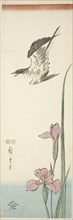 Cuckoo and iris, c. 1847/52, Utagawa Hiroshige ?? ??, Japanese, 1797-1858, Japan, Color woodblock