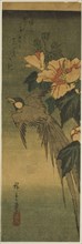 Long-tailed bird and hibiscus, 1830s–1840s, Utagawa Hiroshige ?? ??, Japanese, 1797-1858, Japan,