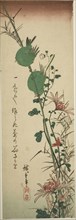 Japanese White-eyes and Chrysanthemums, c. 1830/44, Utagawa Hiroshige ?? ??, Japanese, 1797-1858,