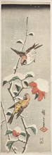 Sparrows and Camellia in Snow, c. 1837/48, Utagawa Hiroshige ?? ??, Japanese, 1797-1858, Japan,