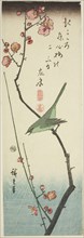 Bush warbler on plum branch, c. 1843/47, Utagawa Hiroshige ?? ??, Japanese, 1797-1858, Japan, Color