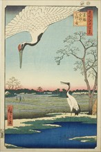 Minowa, Kanasugi, Mikawashima, from the series One Hundred Famous Views of Edo (Meisho Edo
