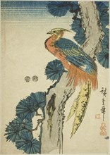 Pheasant and pine tree, c. 1847/52, Utagawa Hiroshige ?? ??, Japanese, 1797-1858, Japan, Color