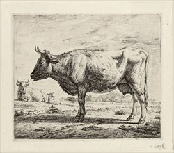 Two Cows and a Sheep, n.d., Adriaen van de Velde, Dutch, 1636-1672, Holland, Etching on ivory