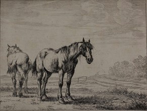 Two Plough Horses, plate seven from Series of Horses, 1651, Dirck Stoop, Dutch, 1610-1686,