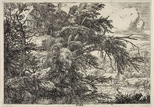 Cottage at the Top of a Hill, c. 1660, Jacob van Ruisdael, Dutch, 1628/29-1682, Holland, Etching in